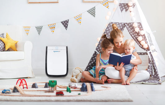 The AmazingAir air purifier: a technical masterpiece